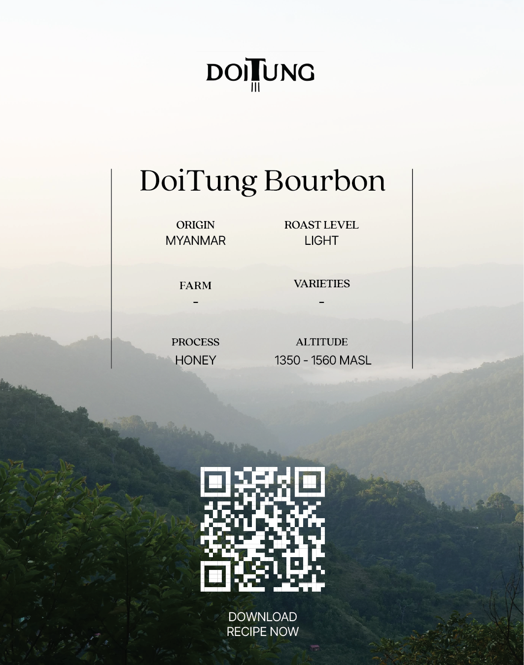 DoiTung Bourbon (Pack)