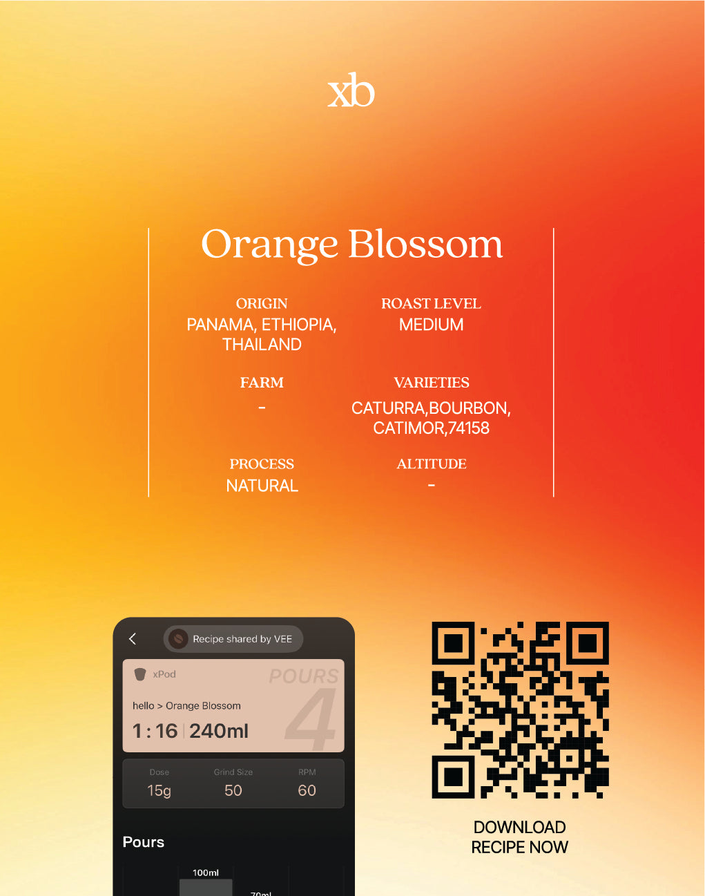 Double Slash Orange Blossom (Pack)