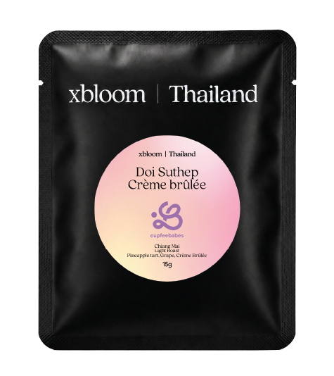 Cupfeebabes Doi Suthep Creme Brulee
