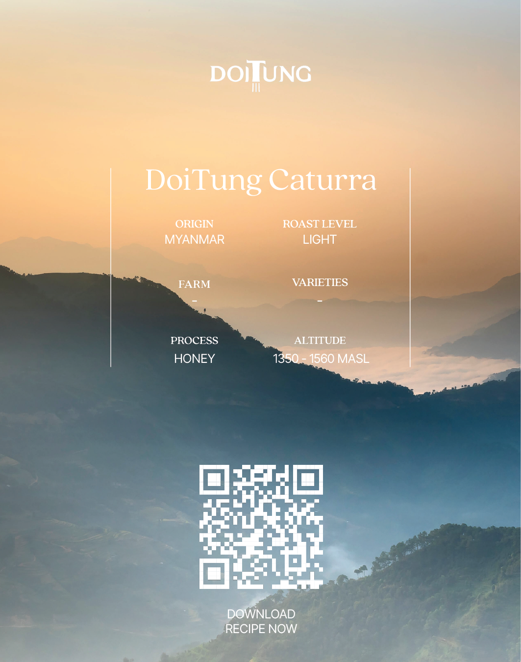 DoiTung Caturra (Pack)
