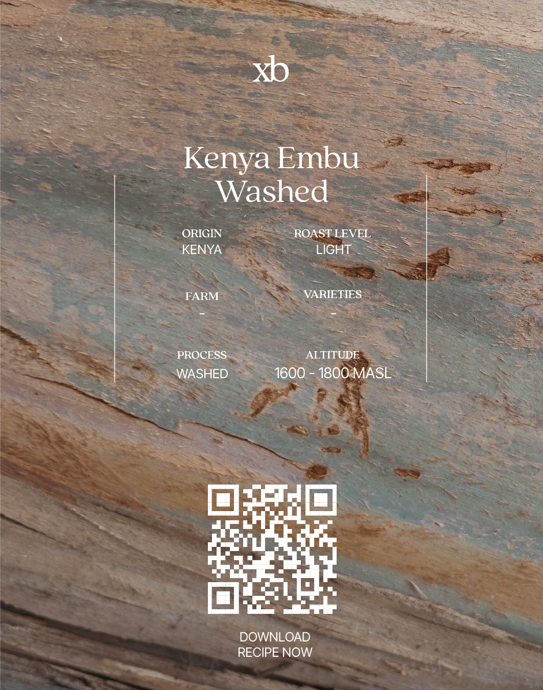 Kenya Embu Washed (Pack)